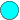 BULLET1.gif