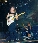 Dave Murray
