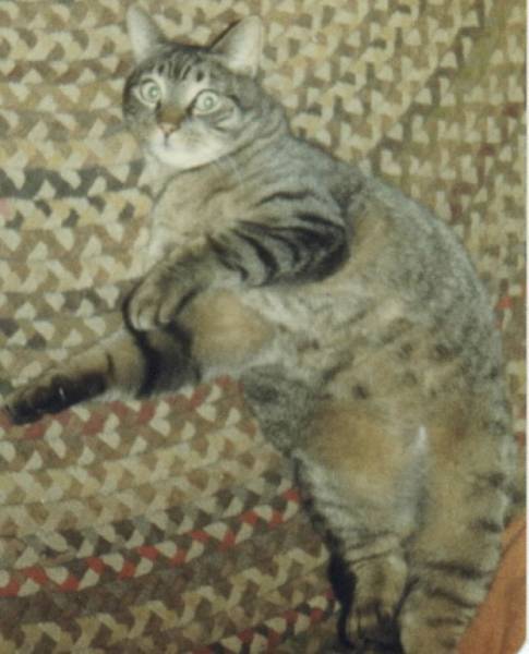 Don't you Think that I Just Look Plain Cute or What?
