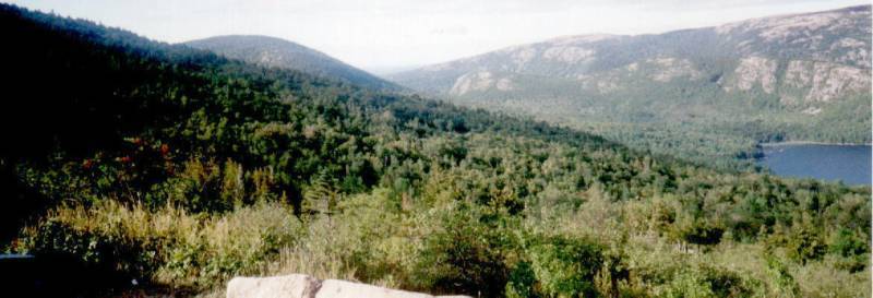 Here's One of Those Mountains with a Tree Hairline