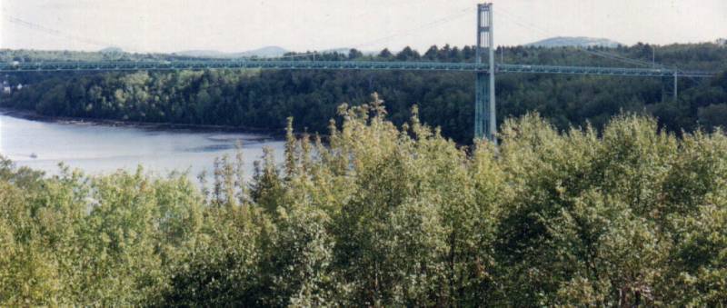 Here's a Suspended Bridge that Could be over just about any River???