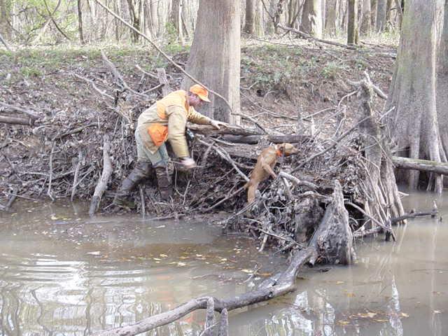 Me and Catfish looking for a squirrel that escaped into a Beaver Dam. 