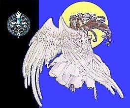 Order Banner