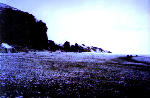 morning after the snowy night