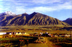 mountains, soldiers, cattle