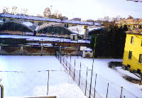 View out of my Window