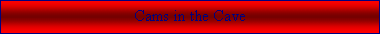 Text Box: Cams in the Cave