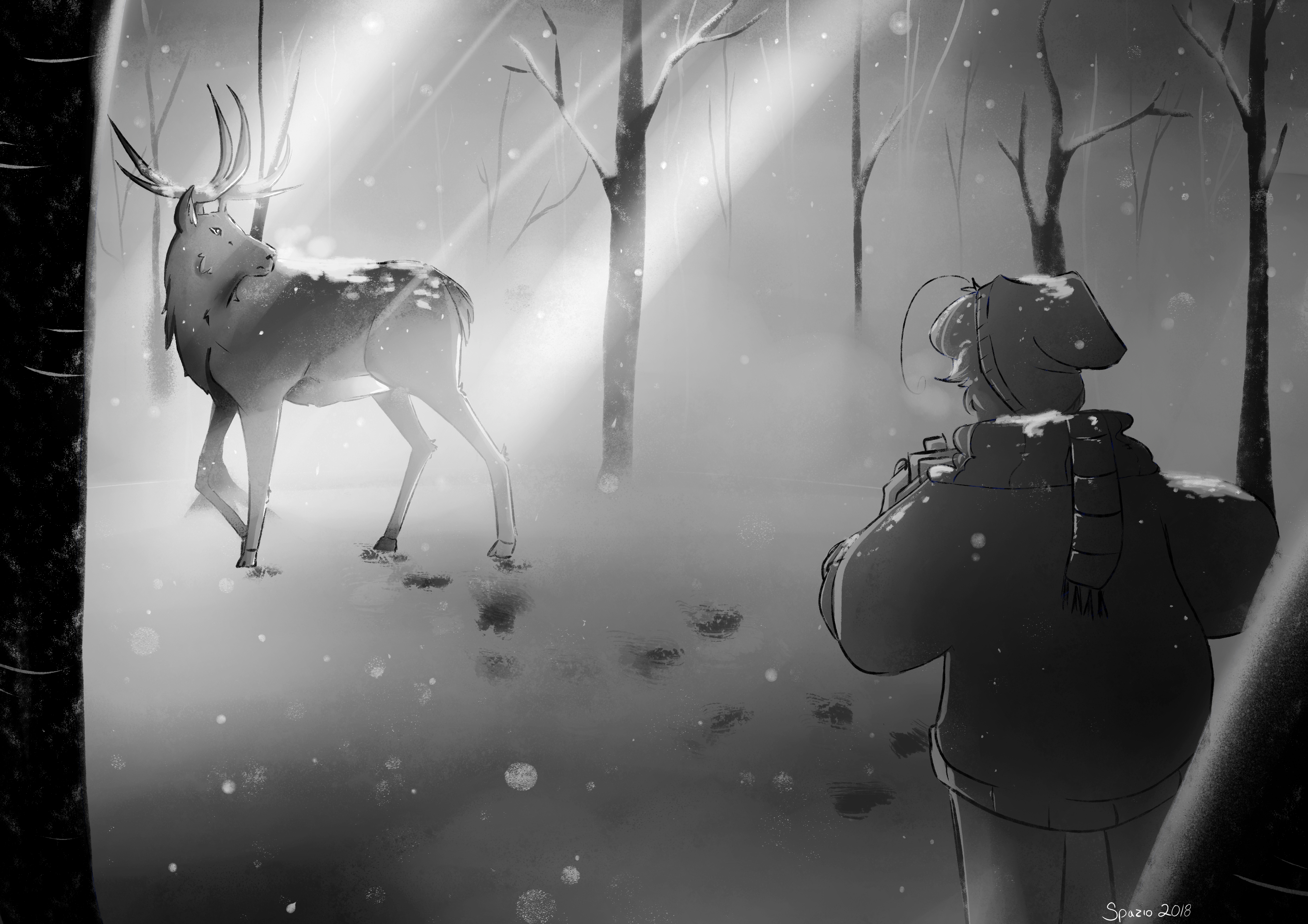 winterphoto