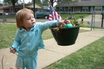 Hunting Eggs