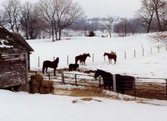 winterturnout.jpg (10081 bytes)