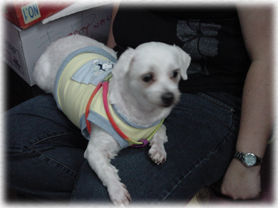 doggy~~