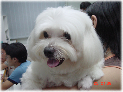 doggy~~