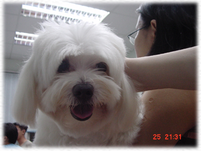 doggy~~