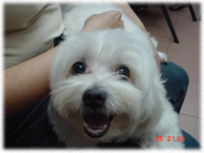doggy~~