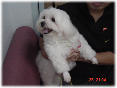 doggy~~