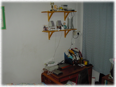 the desk in overall