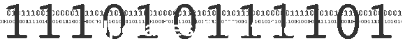 Upgrades & Patches