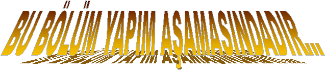 BU B�L�M YAPIM A�AMASINDADIR...