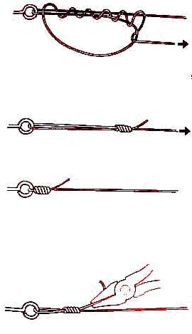 wpe4A.jpg (11978 bytes)