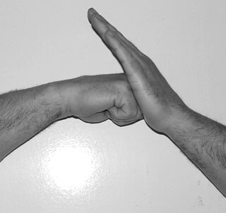 Traditional Shaolin Kung Fu Salute