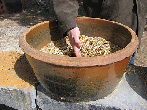 Hand hardening at Shaolin Temple, China