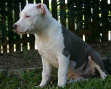 12wk_sky.jpg (25508 bytes)