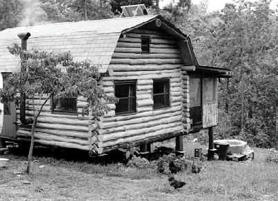Check out the IMAGE LIBRARY to see how we built this cabin