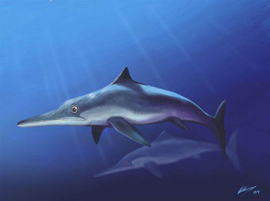 platypterygius