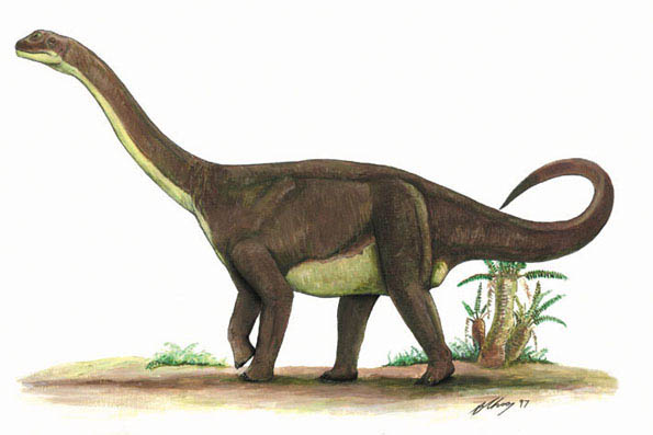 rhoetosaurus
