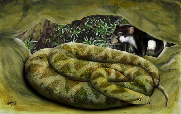 snake