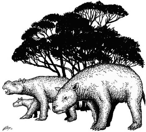 diprotodon
