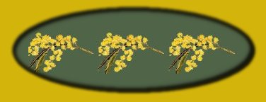 WATTLE OVAL