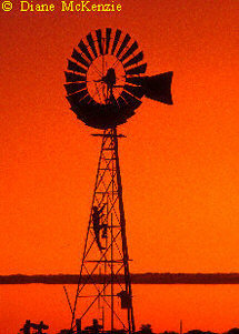 Southern Cross