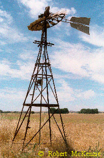 monitor-hambone