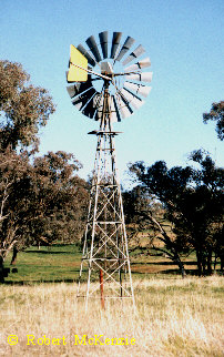 Molong NSW