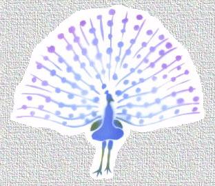 Peacock painted with airbrush.