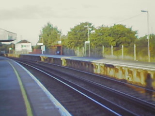 Down platform `branch face' fenced off & overgrown.
