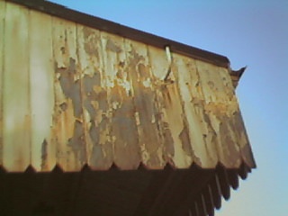Canopy end face in need of attention.