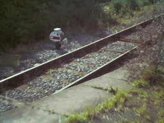 Ground Signal on Hamworthy Goods line.