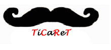E-Ticaret