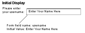 initial display example
