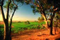Wine & Wildlife from �599