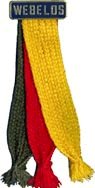 Webelos Colors
Pin Activity Badges onto here.
