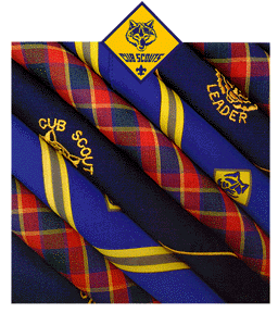 Cub Scout Pack 240 neckershief