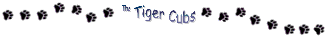 Cub Scout Pack 240 - Tiger Cubs