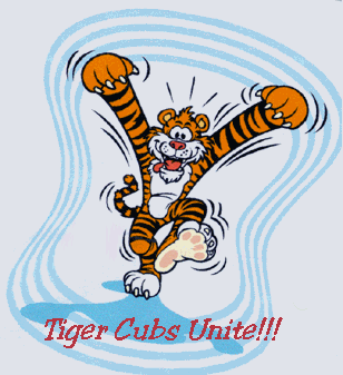 Cub Scout Pack 240 - Tiger Cubs Unite!
