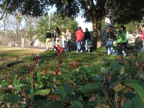 Delegates first entering the park grounds in the quest for information . . . 