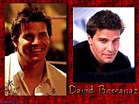 David Boreanaz