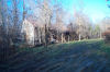 Old barn and bare trees