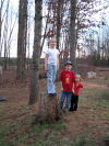 A shirt-sleeve winter day